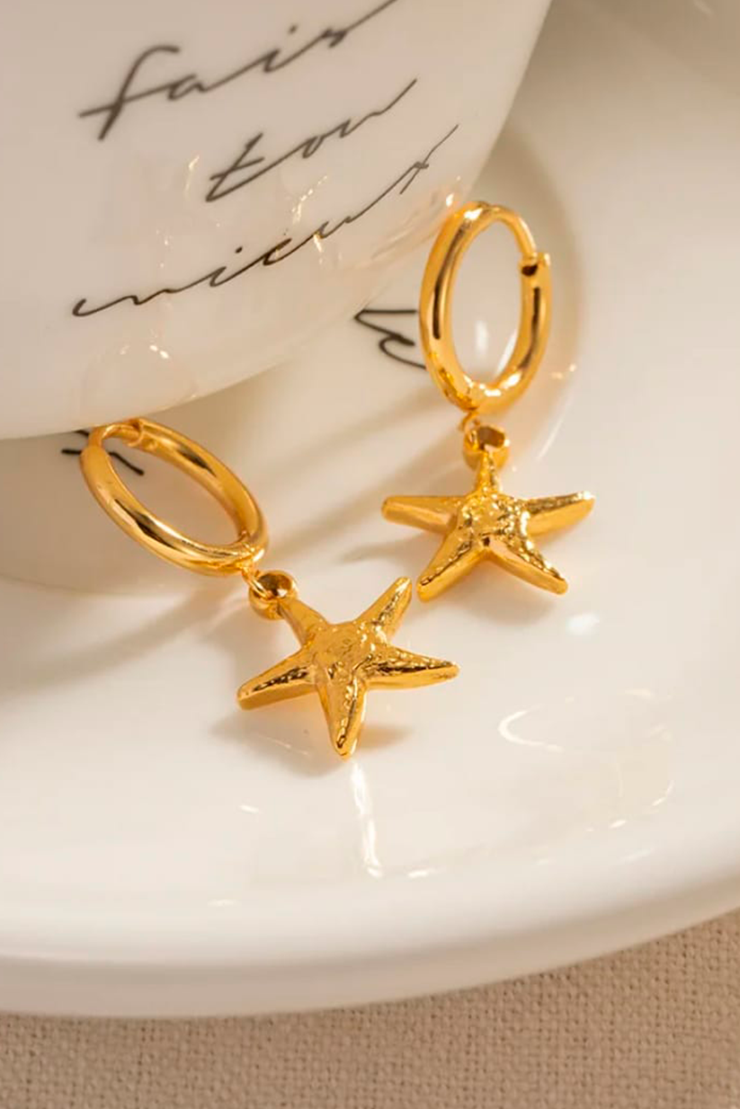 ⭐Aretes Star