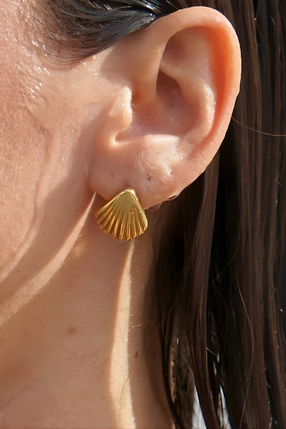 🌊 Aretes Conchita