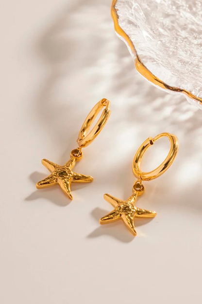 ⭐Aretes Star