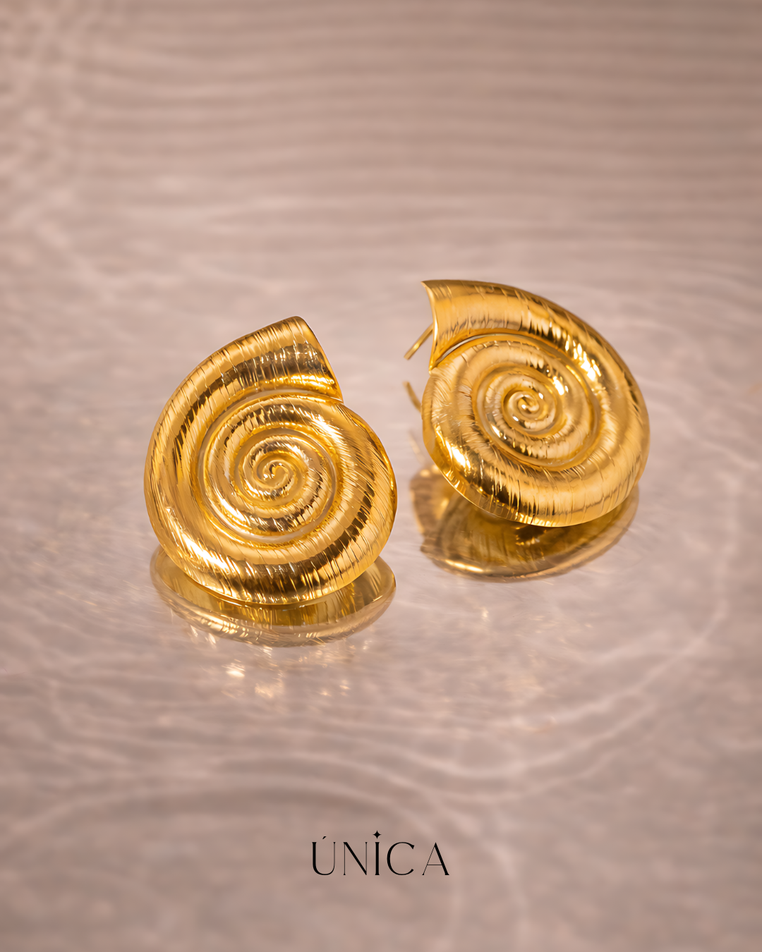 ✨Aretes Caracola Mágica