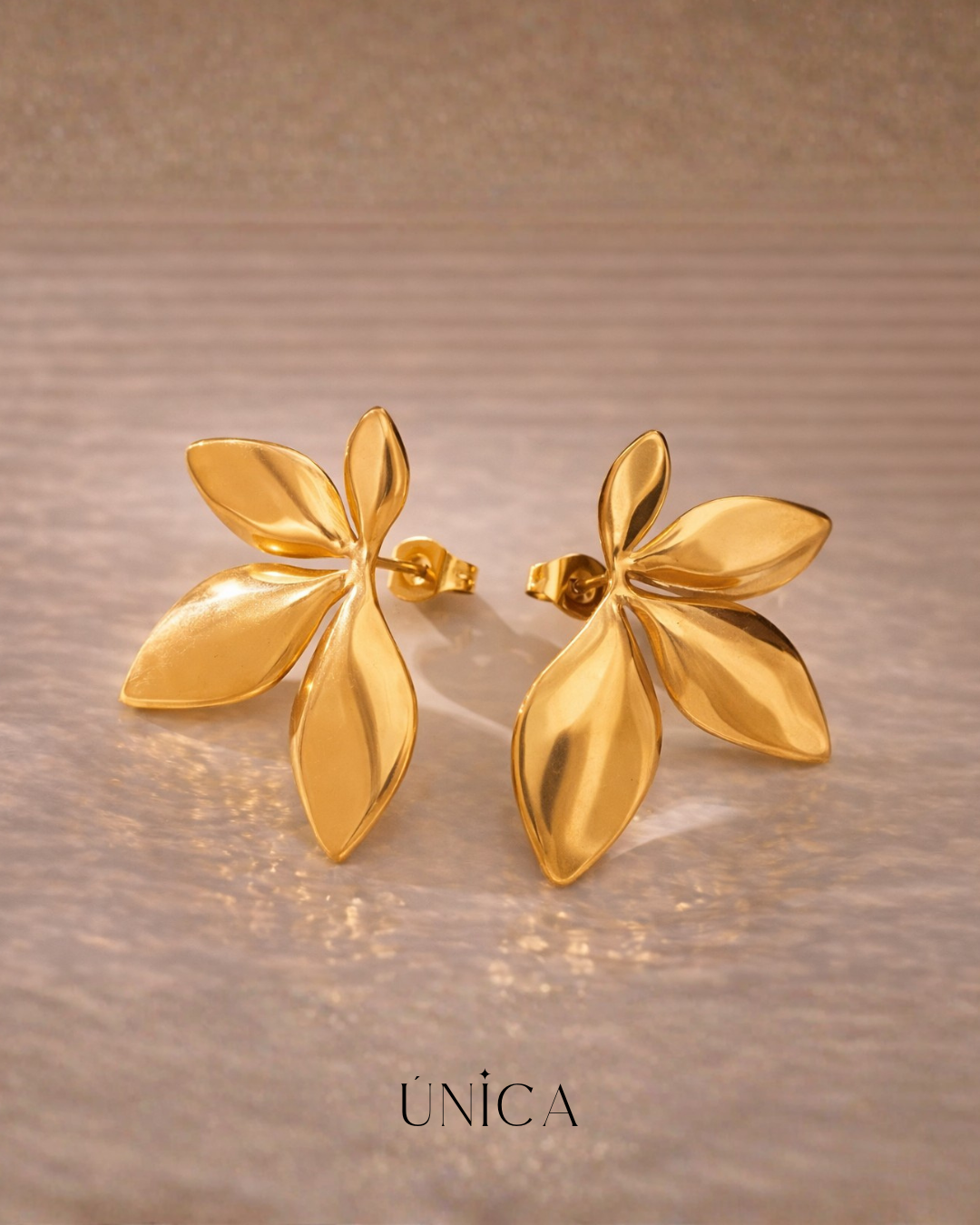 ✨Aretes Julieta
