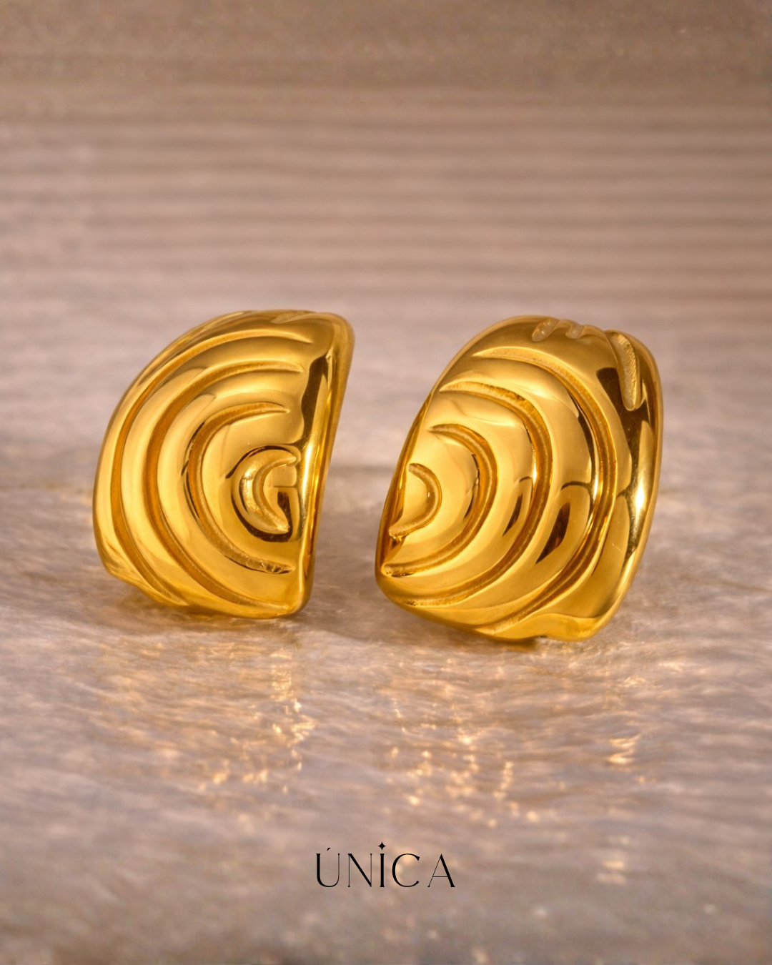 ✨Aretes Viviana