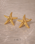 ✨ Aretes Estrella de Mar